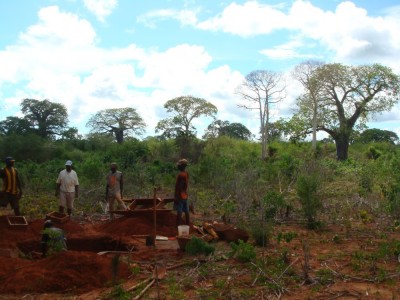 <b>Figure 1.</b> <i>Kisiwa Forests.</i> Excavations were carried out in the surrounding area of Mikindani for my PhD (Image Copyright: M. Pawlowicz).